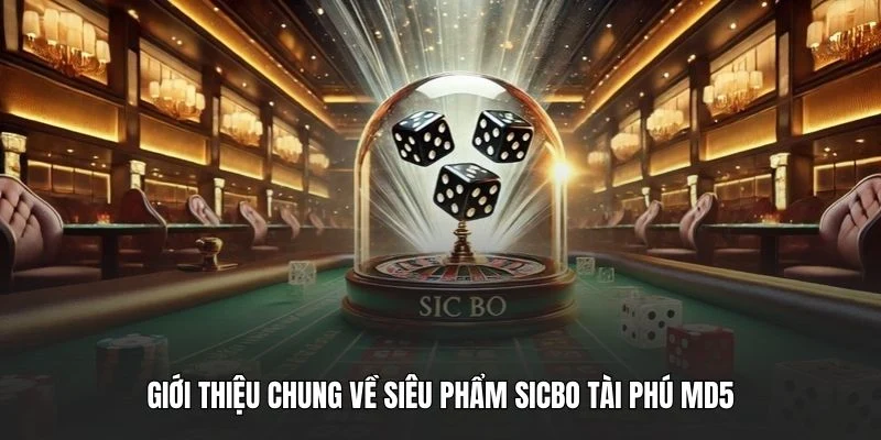Giới thiệu chung về siêu phẩm sicbo tài phú MD5